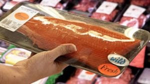 wild salmon