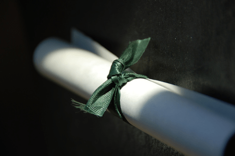 fake diploma - online schools